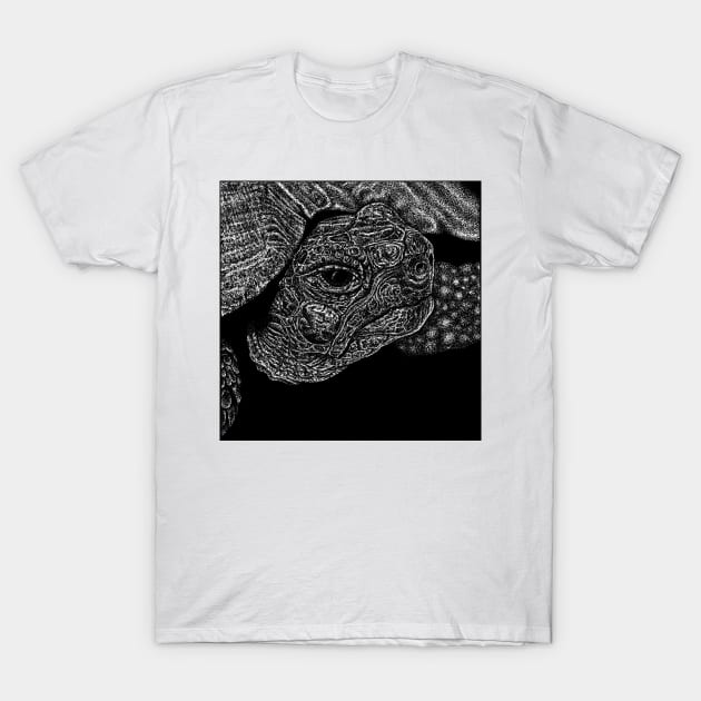 Tortoise T-Shirt by lorendowding